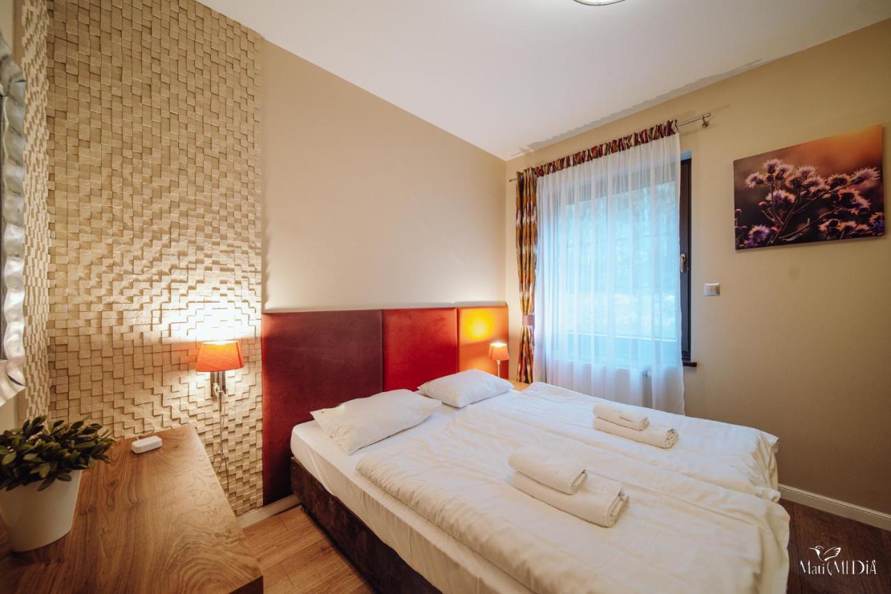 Dolina Wikingów Apartament Oye 09 Szklarska Poręba Exterior foto